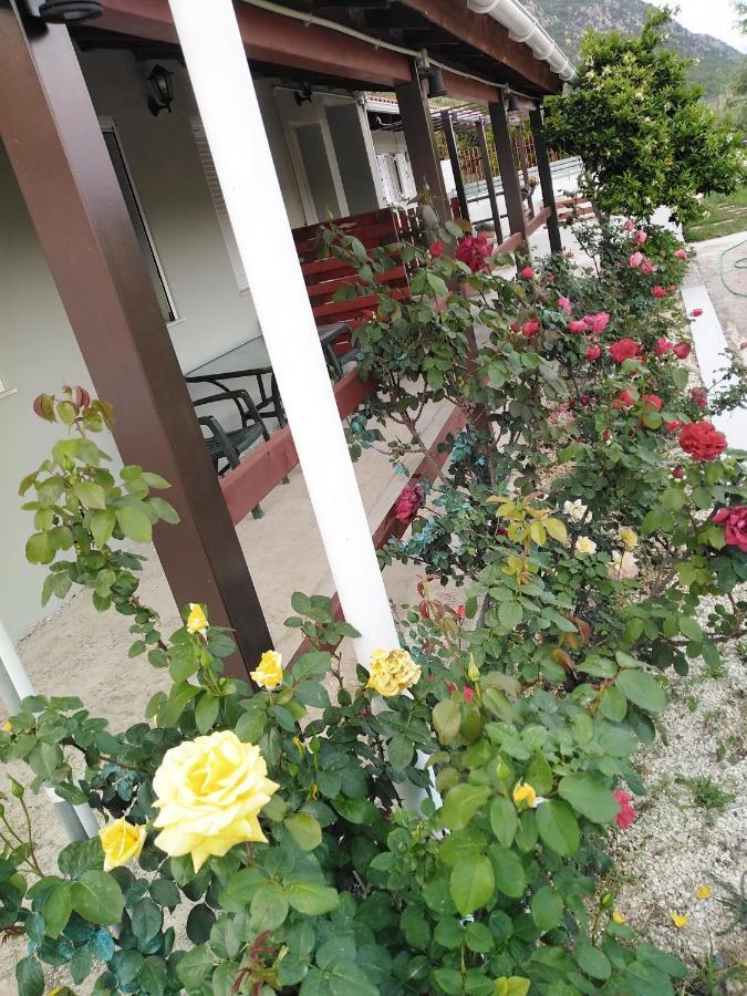 Apartment With Private Pool For Rent In Tzanata Kefalonia Dhimisianáta Exterior foto